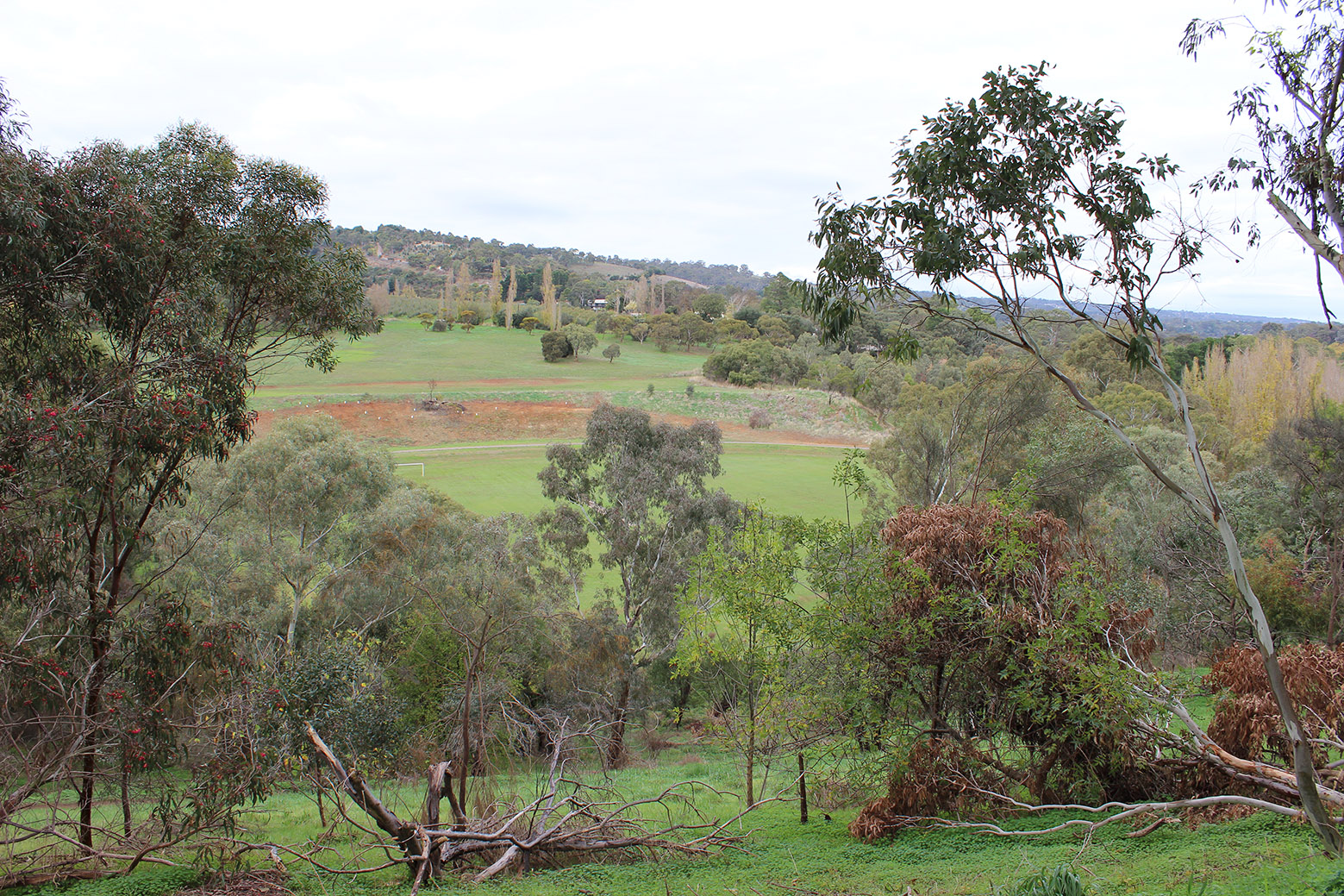 Scenic Coromandel Valley