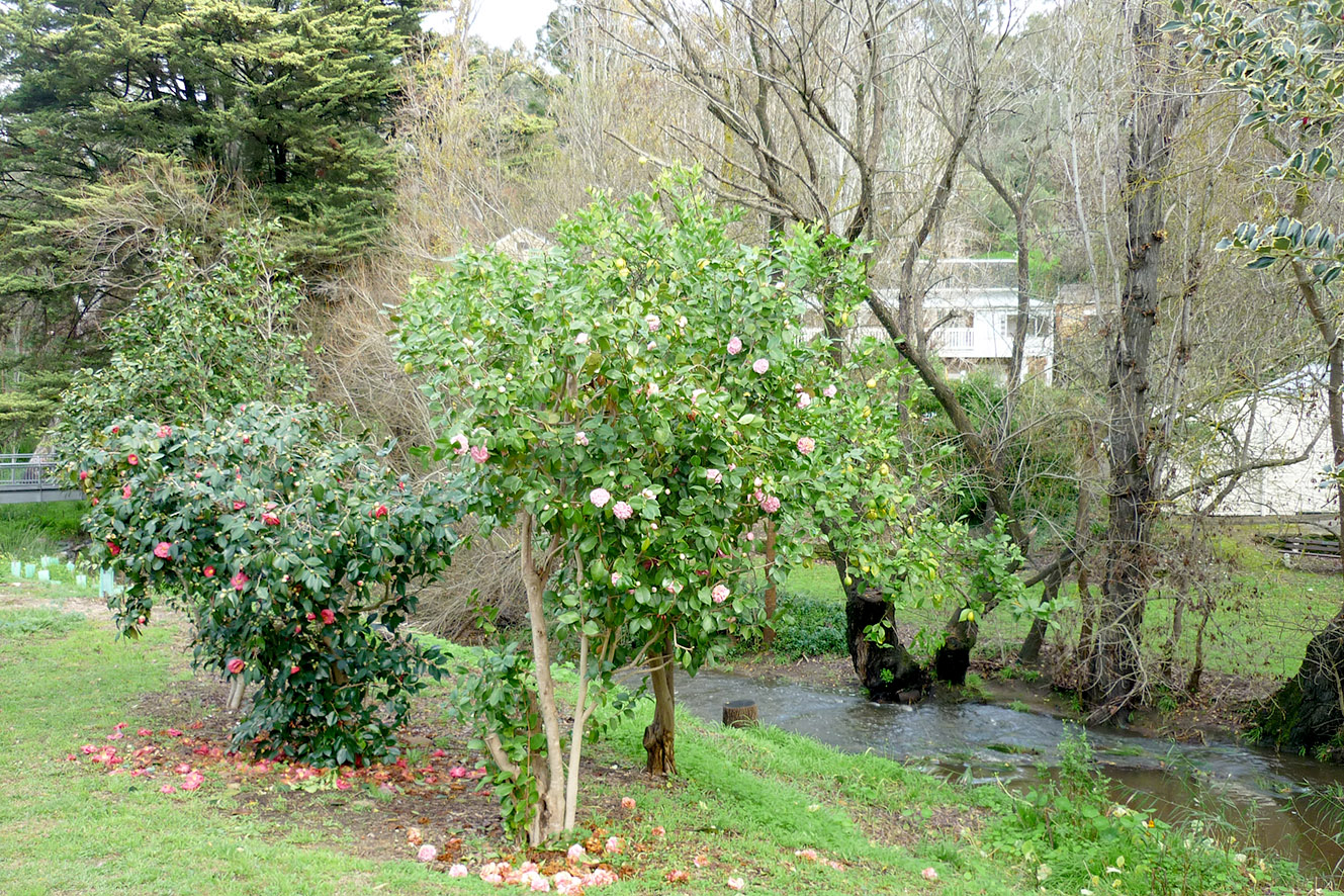 Winns Rd Historic Precinct