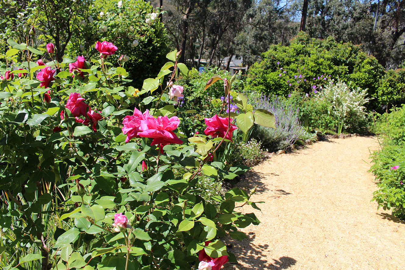 Gamble Garden path