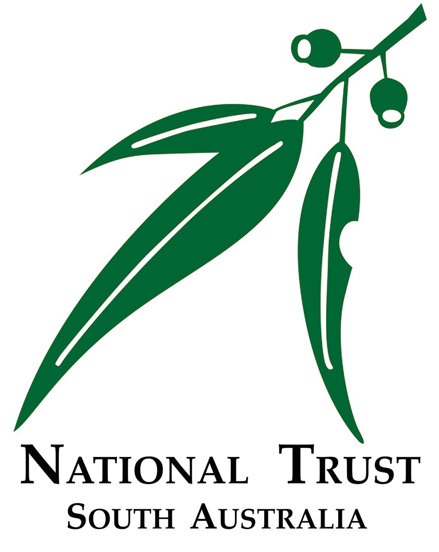 NT Logo