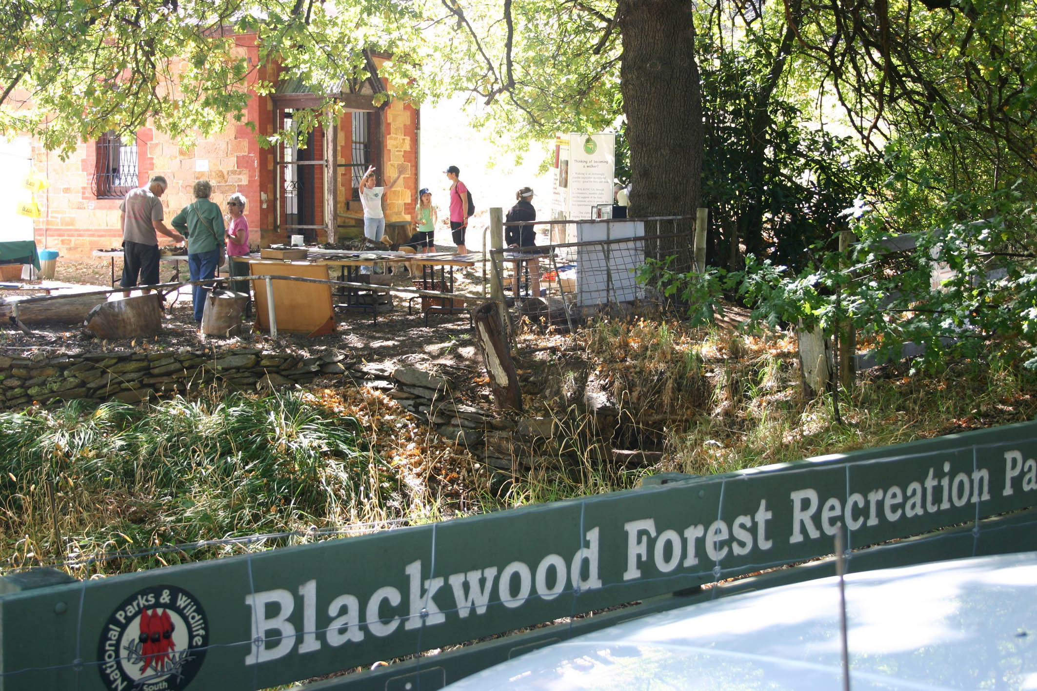 Blackwood Forest